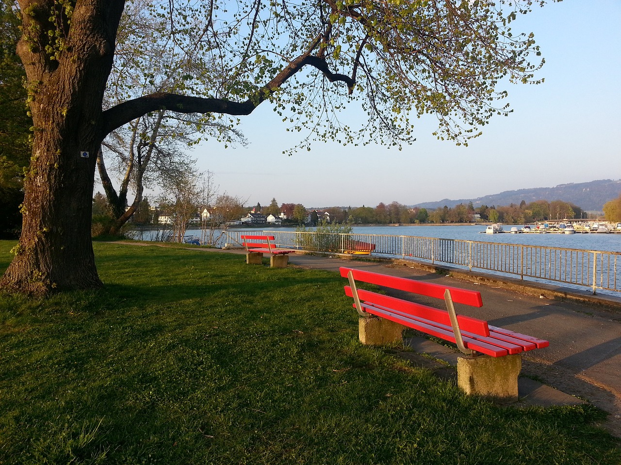 名宿的担忧 名宿的担忧