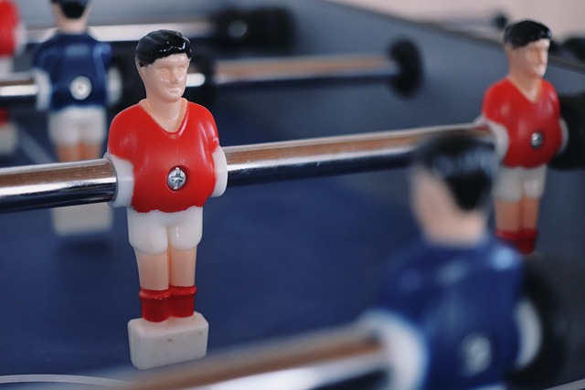 生涯的一种 生涯的一种