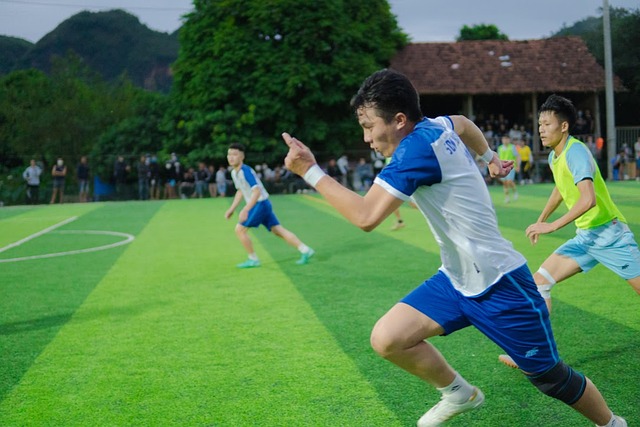 納斯可能會 納斯可能會