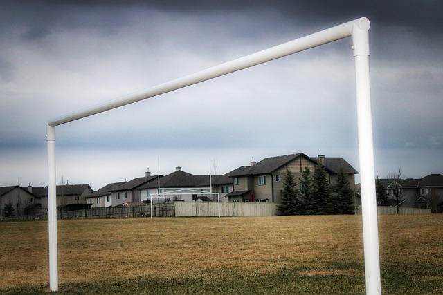 的成长之路 的成长之路