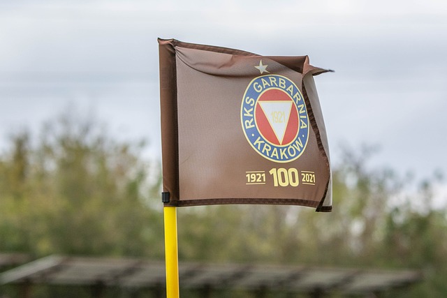 意甲第29輪AC米蘭1-0恩波利 伊布替補登場卡盧盧一擊制勝.